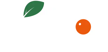 Tico Ltda.